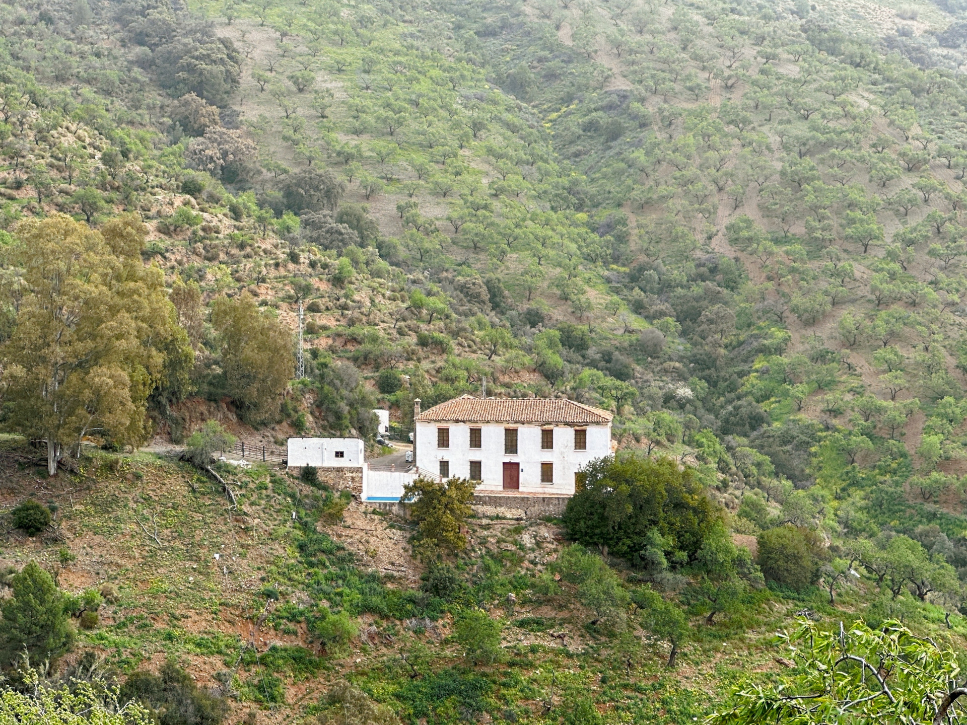 Málaga Este